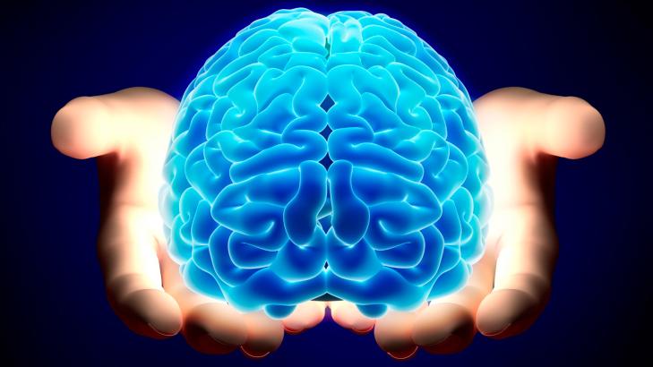 التعلم المستند إلى الدماغ التعلم المستند إلى الدماغ