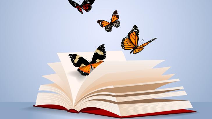 التعلم السريع – الخيال والإيحاء - أهمية الخيال في التعليم